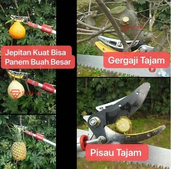 PCK-09 2.1 - 5 Meter Alat Tongkat Pemetik Buah Panjang Telescopik Pemangkasan Ranting Pohon Gergaji Tree Pruner Saw Blade Gunting Petik Buah Tinggi